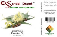 Eucalyptus Essential Oil - 10 kg. - Approx 22 lbs